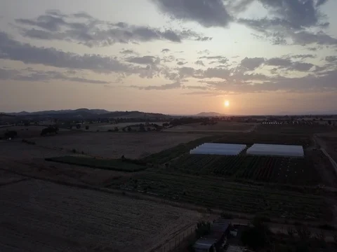 Sunrise on the fields2 Video stock 84685278