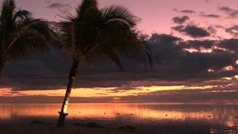 Sunrise in the Florida Keys Stock Footage 143014799
