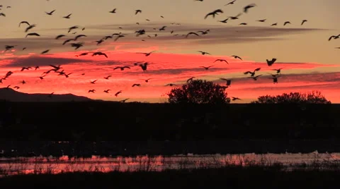 Sunrise Flyout Vídeos de archivo 44824130
