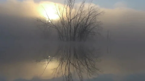 Sunrise in the fog Stock Footage 45653489