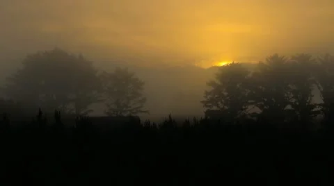 Sunrise with fog Stock Footage 55909135