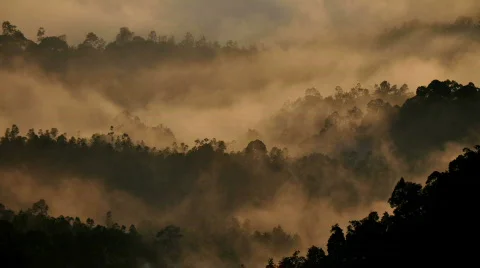 Sunrise Stock Footage 659295