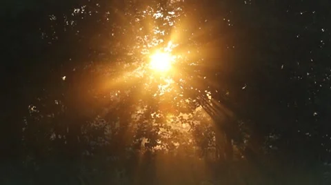 Sunrise Video stock 8852649