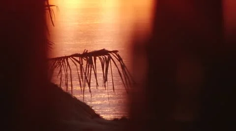 Sunrise Stock Footage