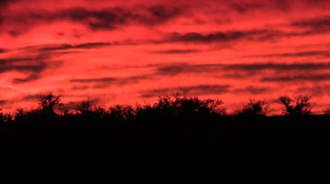 Sunrise Vídeos de archivo 32543387