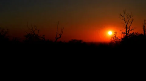 Sunrise Video stock 32692452