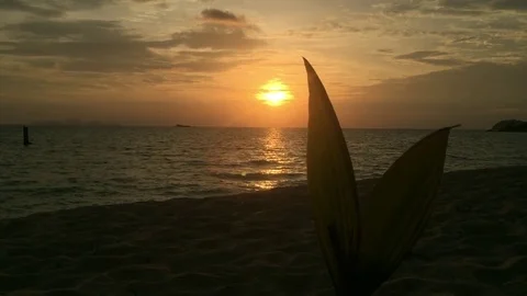 Sunrise Vidéo 75702791