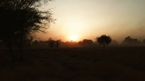 Sunrise Stock Footage 90679313