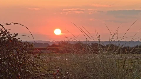 Sunrise. 스톡 동영상 120026341