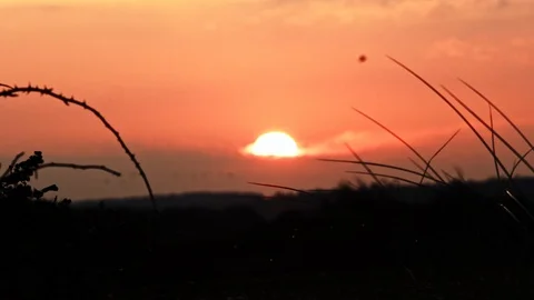 Sunrise. Stock Footage 120026425