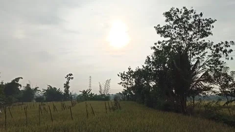 Sunrise Video stock 150003853