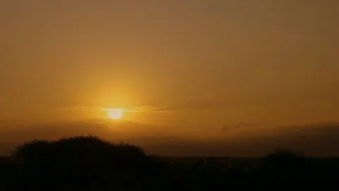Sunrise Stock Footage 161401247
