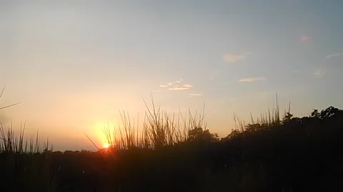 Sunrise Stock Footage 172004587