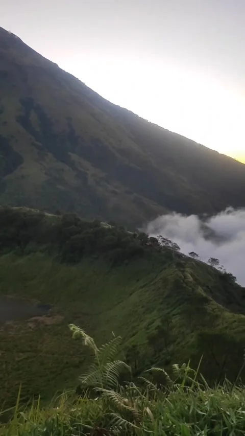 Sunrise 스톡 동영상 219382575