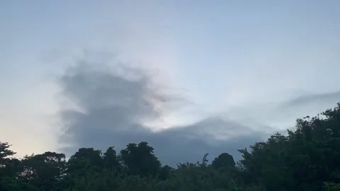 Sunrise Vídeo Stock 221440716