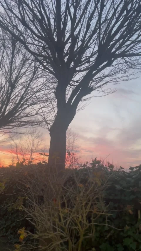 Sunrise Stock Footage 232251452