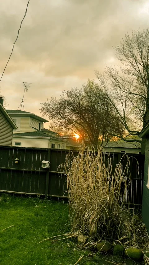 Sunrise Stock Footage 279521024