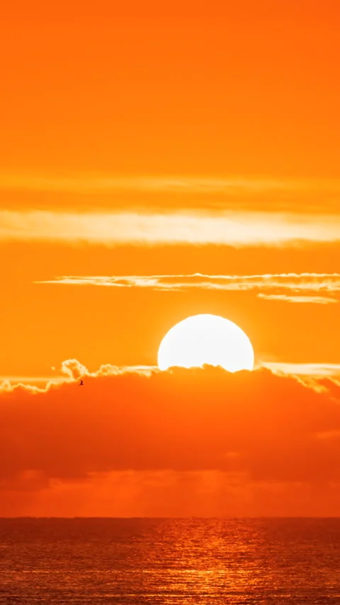 Sunrise Stock Footage 293156716