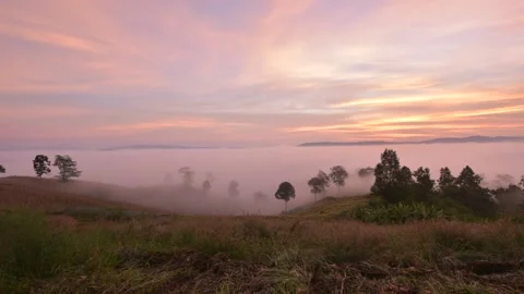 Sunrise footage Stock Footage 146978429