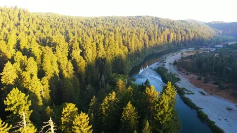 Sunrise Forest 2 Stockbeeldmateriaal 163313516