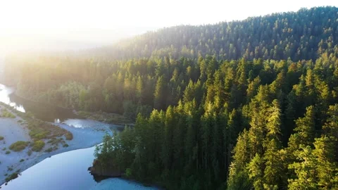 Sunrise Forest Stockbeeldmateriaal 163317966