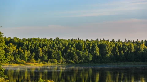 Sunrise in forest lake Stock Footage 61364245