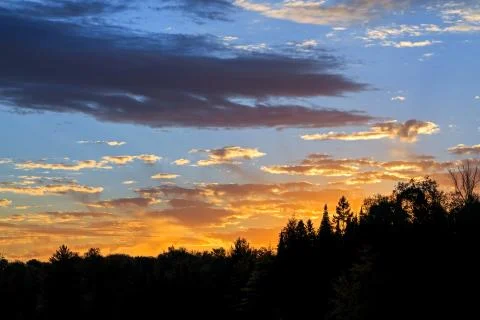 Sunrise Forest Stock Photos