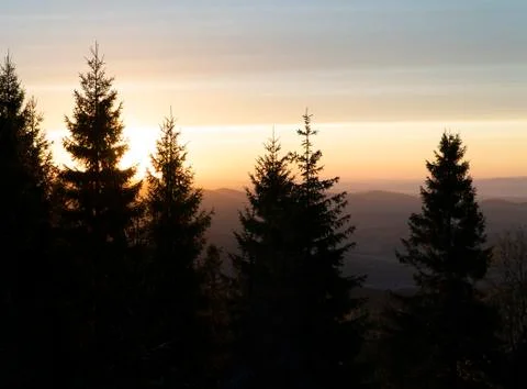 Sunrise in the forest Stock Photos