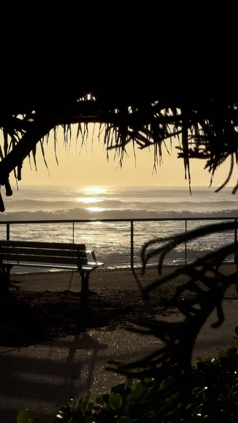 Sunrise Frames By Pandanus Tree Vidéo 301659277