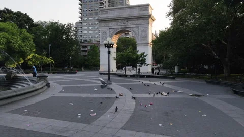 Sunrise at a garbage filled Washington Square Park Stock Footage 246150163