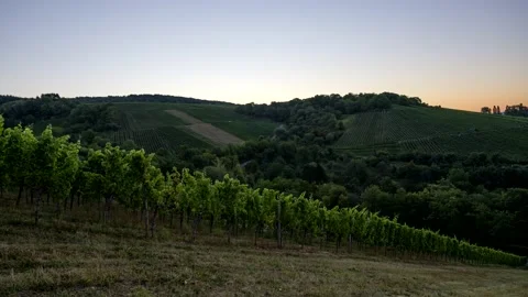 Sunrise in a german vineyard landscape Stock Footage 137927907