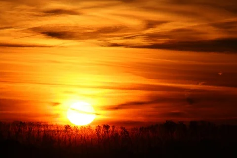 Sunrise Germany with clouds, horizont and trees. Timelapse Stock Footage 111673972