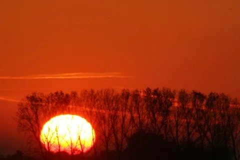 Sunrise Germany with horizont behind trees. Timelapse Stock Footage 111598107