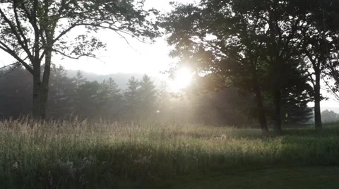 Sunrise Golf Course Video stock 51224366