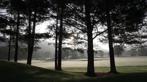 Sunrise Golf Course Video stock 51224825
