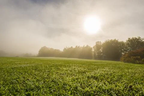 Sunrise on golf in fall Stock Photos