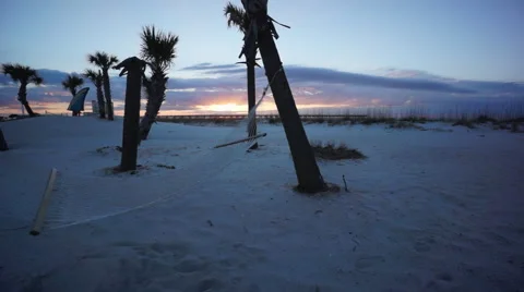 Sunrise with hammock on beach Stock Footage 57368621