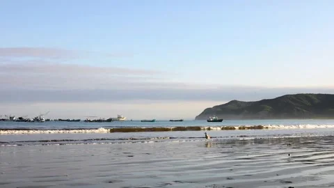 Sunrise Harbour Video stock 243764801