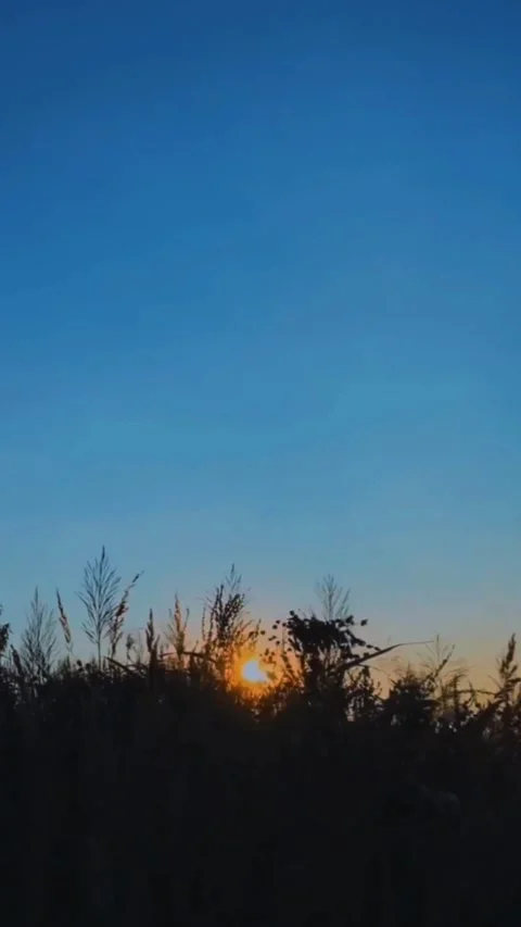 Sunrise on a hill Stock-Footage 222763012