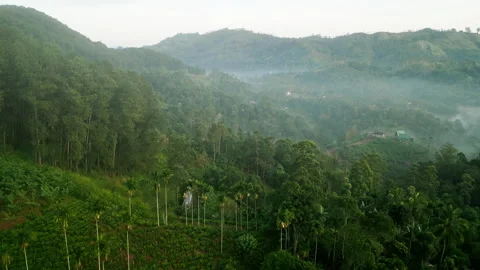 Sunrise illuminates Ella mountain range, Sri Lanka. Mist floats over treetops as Stock Footage 274413069