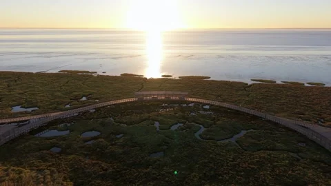 Sunrise illuminates winding boardwalk through tranquil wetland Stock Footage 345223210