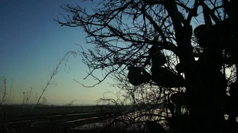 Sunrise jogger 스톡 동영상 10724148