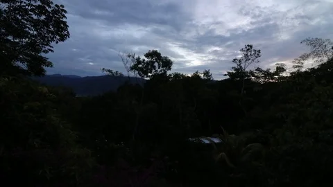 Sunrise jungle timelapse Stock Footage 113207086