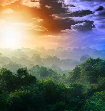 Sunrise in the jungles Stock Photos