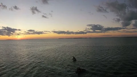 Sunrise in Key largo Stock Footage 43460550