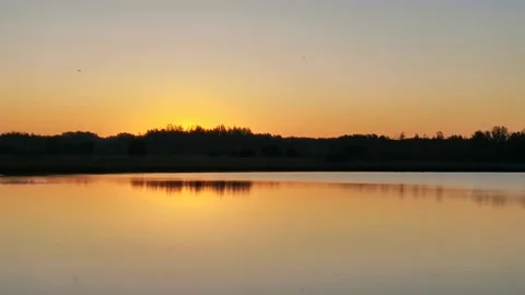 Sunrise on the lake, fish splash Stock Footage 131847242