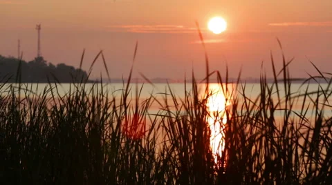 Sunrise on the  lake Stock Footage 41686357