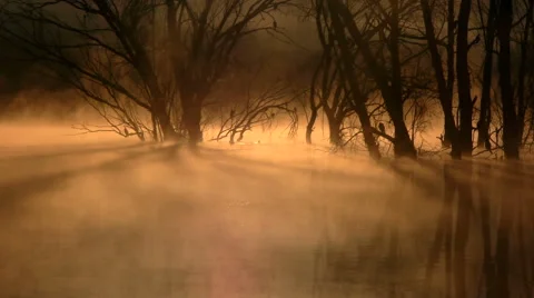 Sunrise on the lake Video stock 45657786