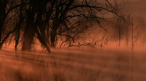 Sunrise on the lake Stock Footage 45660761