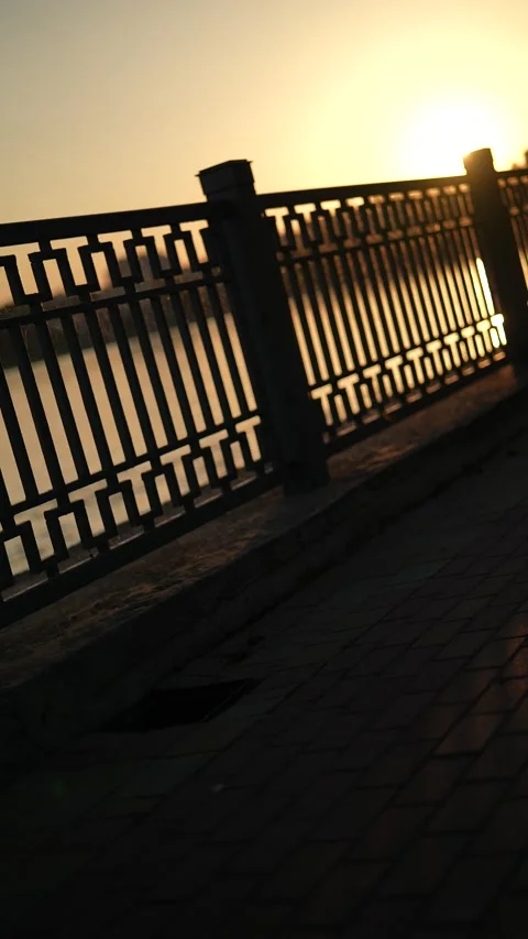 SUNRISE BY THE LAKE Stock Footage 205524429